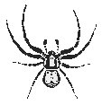 sp-gra1.gif (1603 Byte)